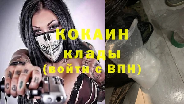 индика Балахна