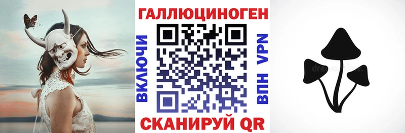 Псилоцибиновые грибы GOLDEN TEACHER  Купить закладки  Фрязино 